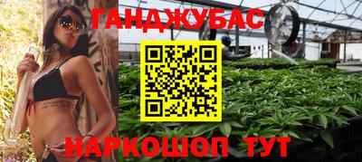 Альфа ПВП Кингисепп