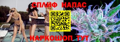 Альфа ПВП Кингисепп