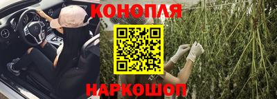 Альфа ПВП Кингисепп