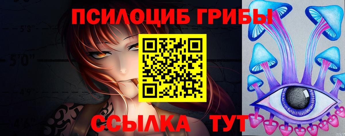 наркотики  Вход с VPN  Королёв  Галлюциногенные грибы MAGIC MUSHROOMS 